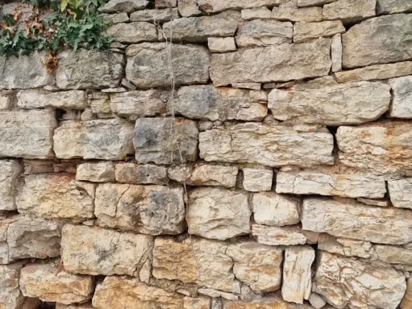 un mur de pierres