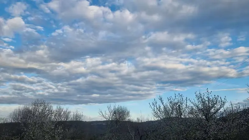 Ciel