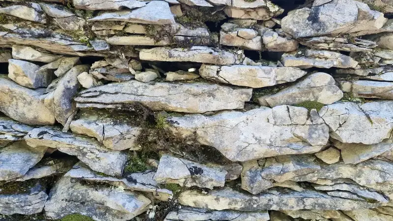 un mur de pierres sèches