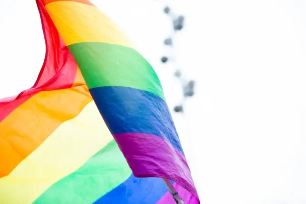 Drapeaul gbtqi