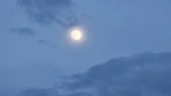 Lune