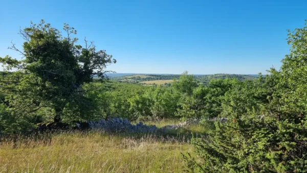 Quercy