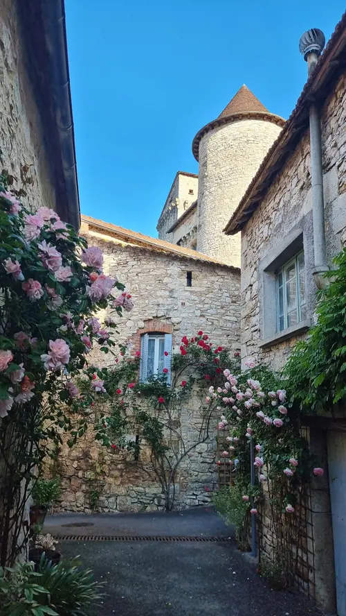 Rosiers rue du Château