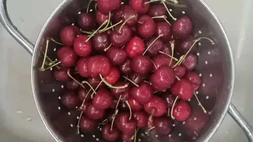 Cerises