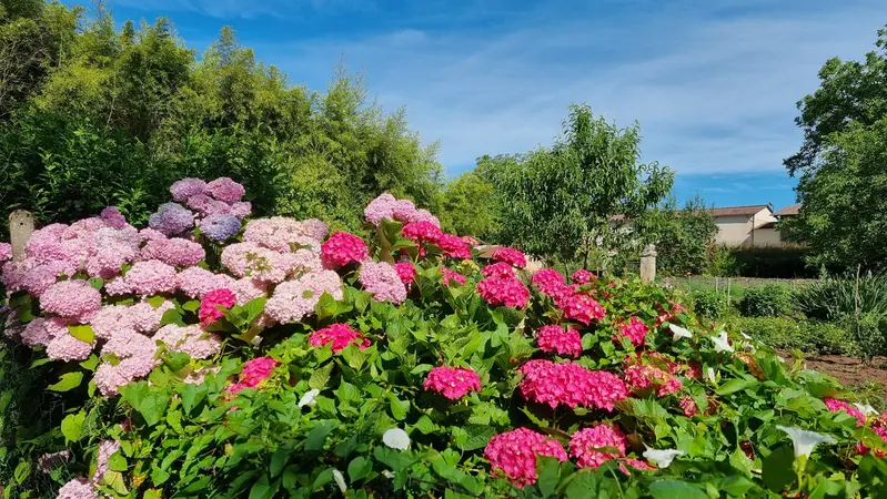 Fleursjardins
