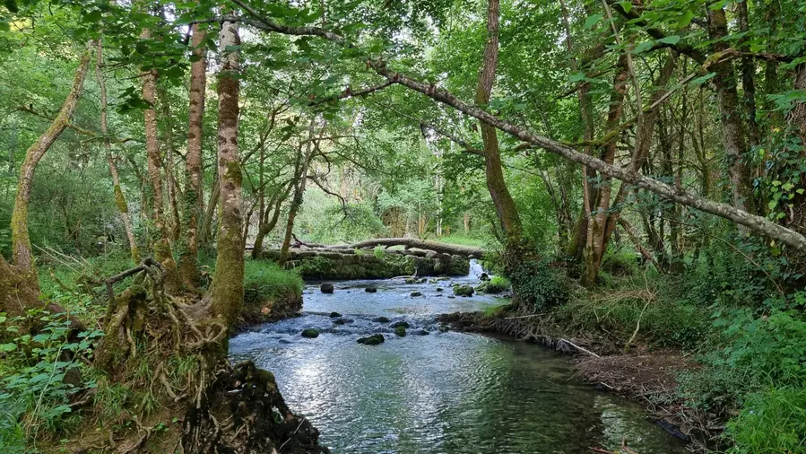 Le ruisseau de Lantouy en Aveyron