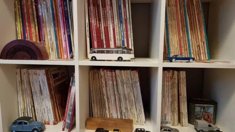 Les bandes dessinées