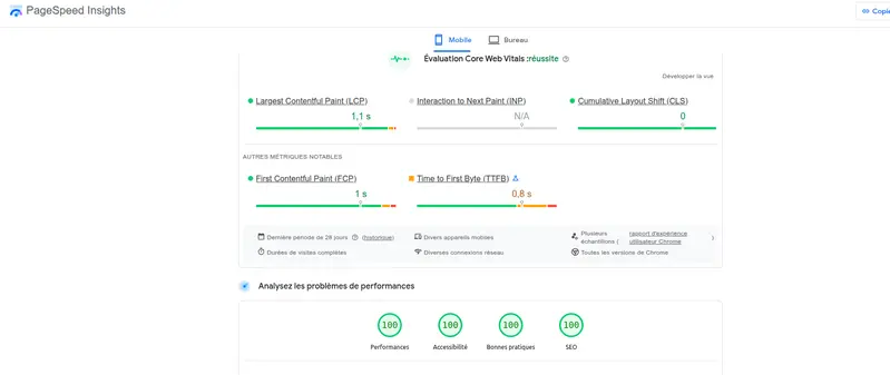 Page Speed Insights mobile 