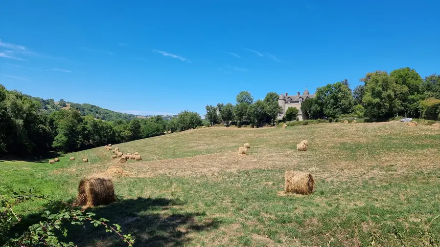 Le château de Requista