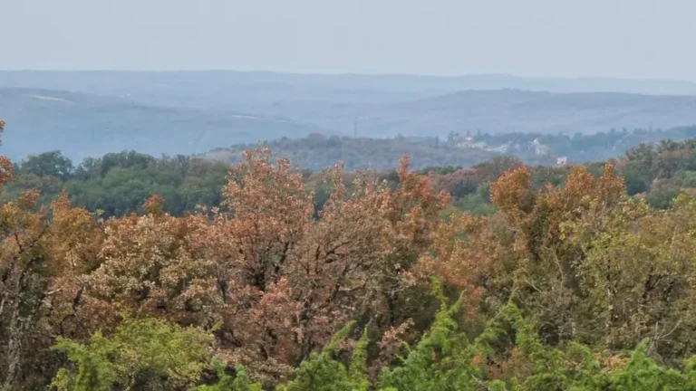 Les lignes du causse a loin