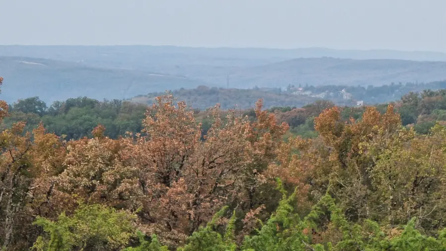 Les lignes du causse a loin