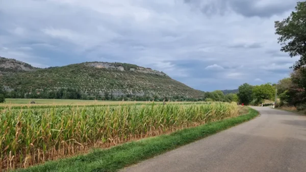 la route du bas