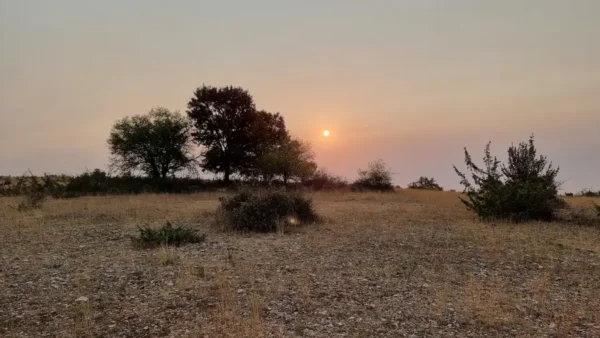 soleil levant sur le causse du Quercy en août 2025