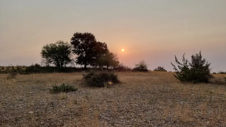 soleil levant sur le causse du Quercy en août 2025