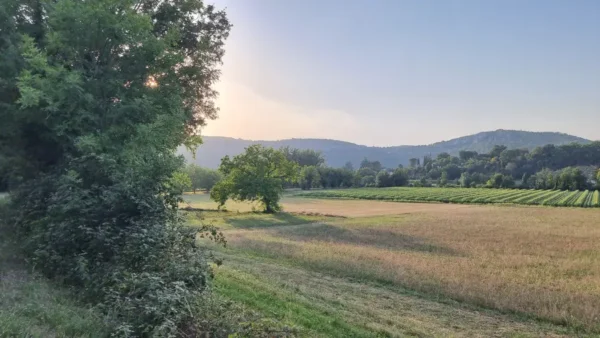la vallée du Lot près de Cajarc