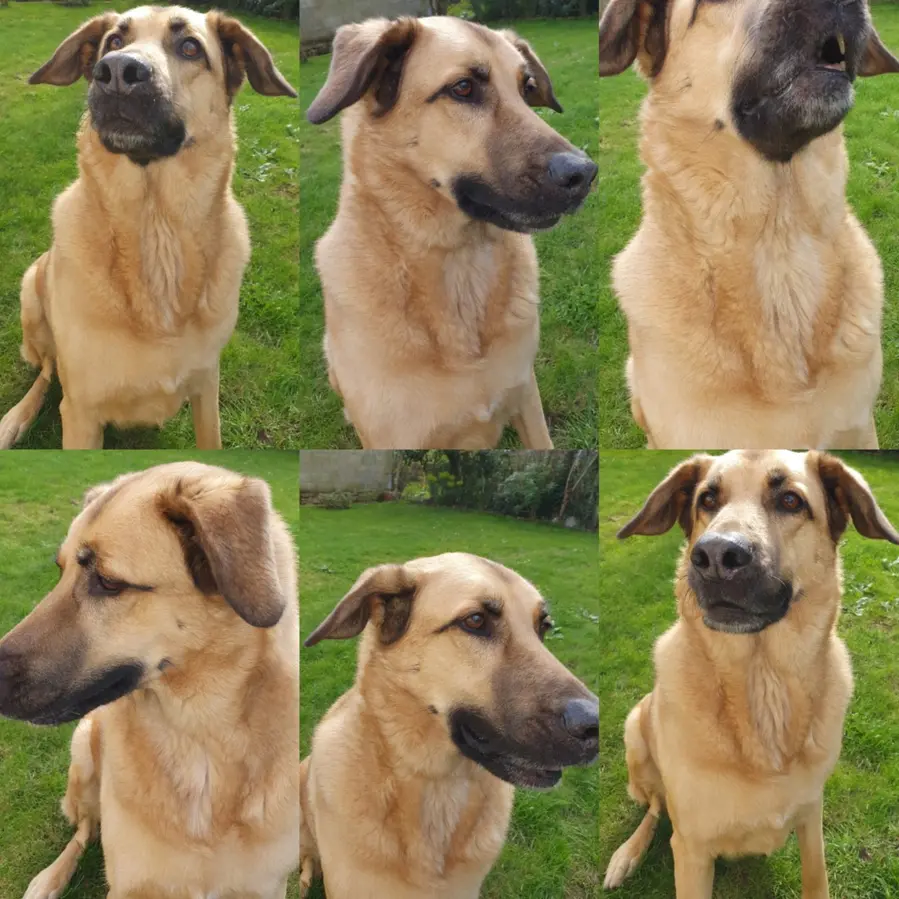 Galou portraits
