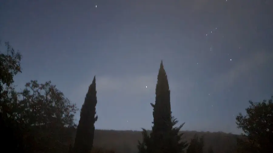 Aube - jardin à l'aube