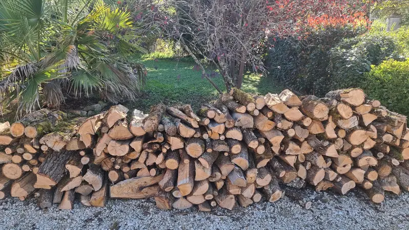le bois qui vient d'être livré