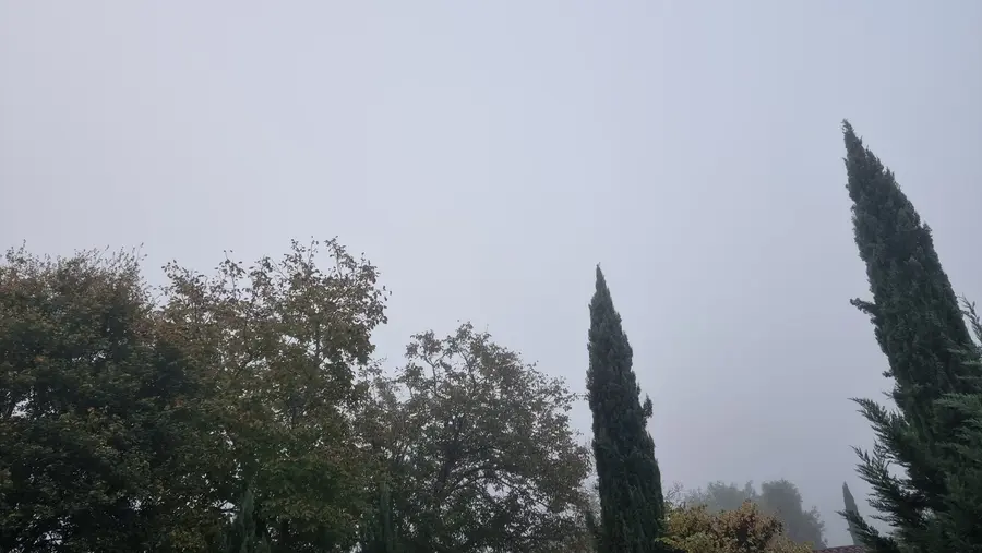 La brume