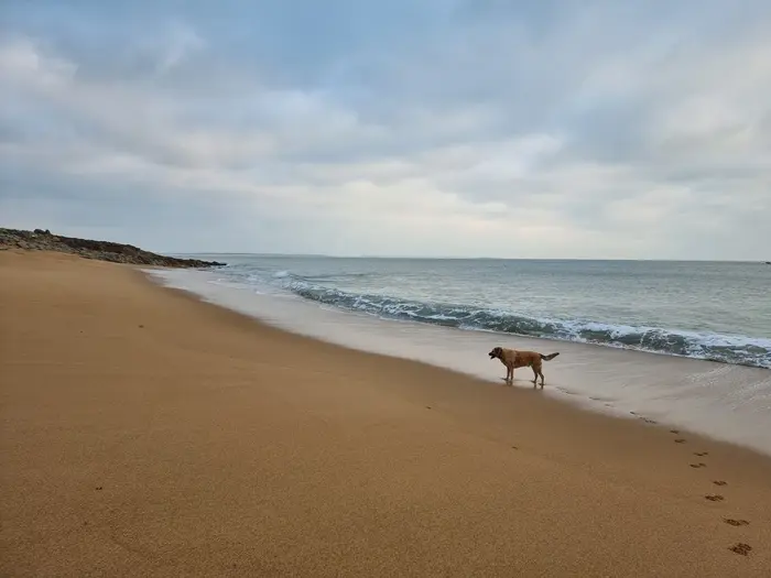 Galou à la plage