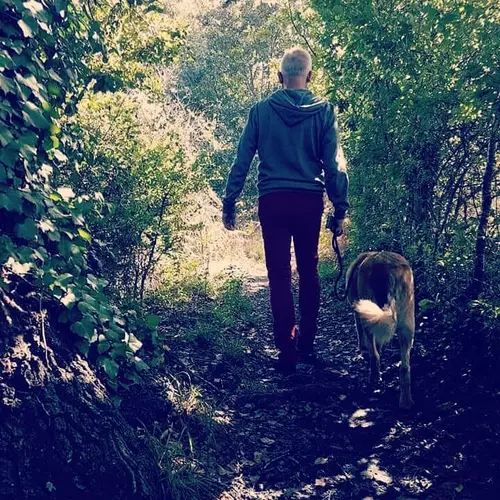 Galou en promenade avec Vincent