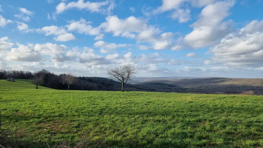 Cabanon sur le Quercy avec quelques arbres plantés