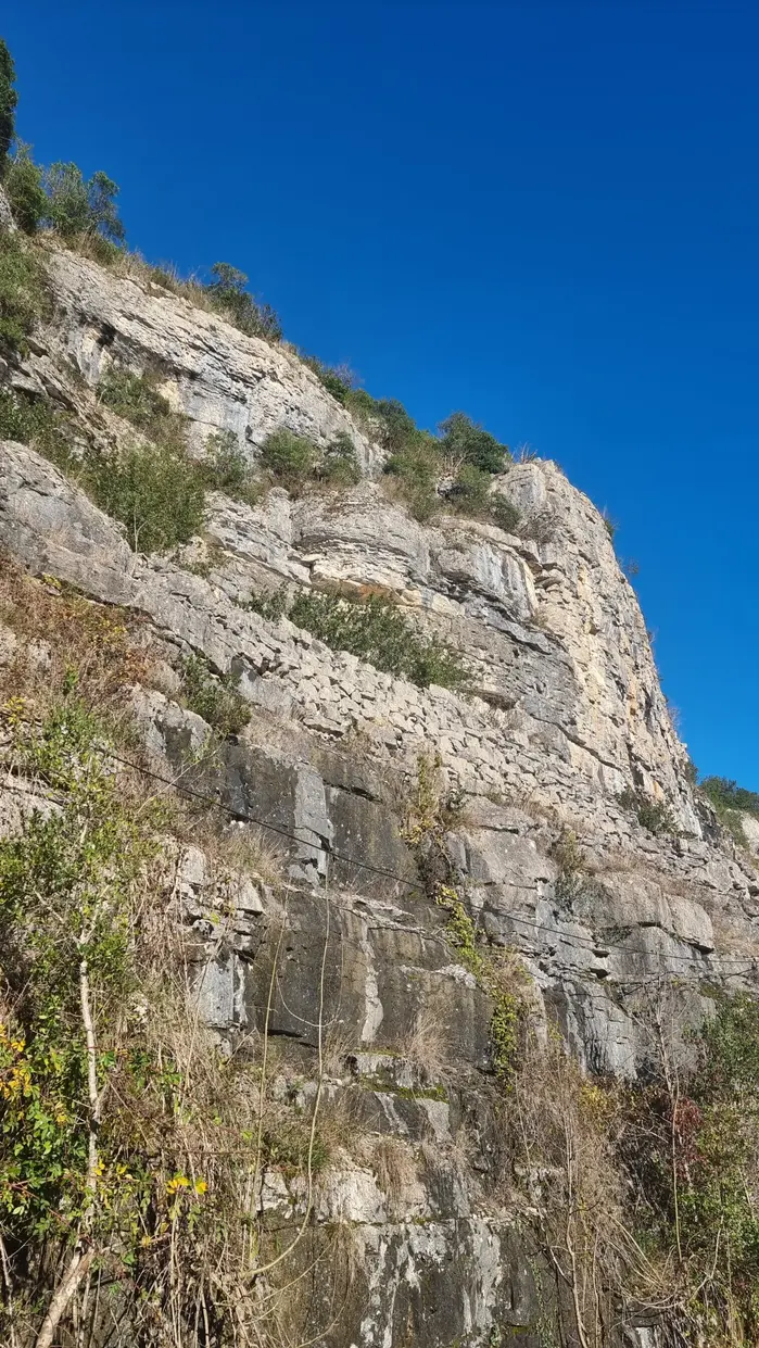 Falaise