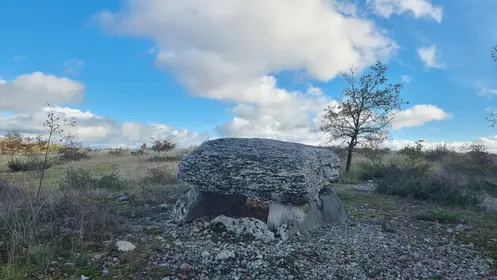 le dolmen à Super Cayrou