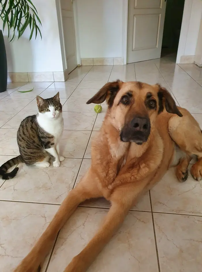 Isis et Galou