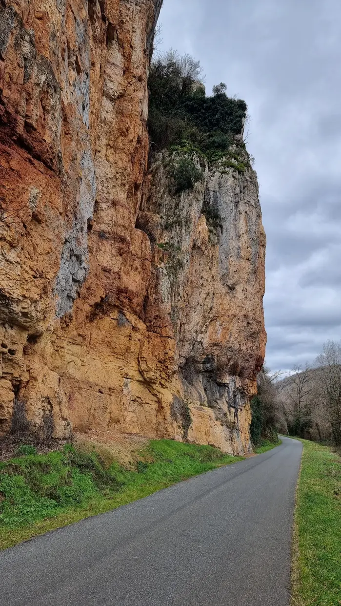Falaise