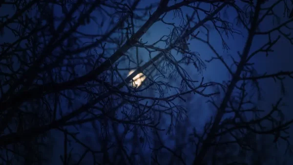 La nuit