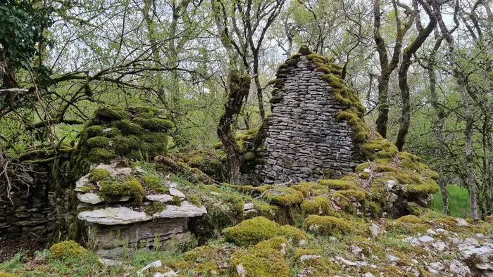 Maison en ruine dans un chemin de pierres menant au causse