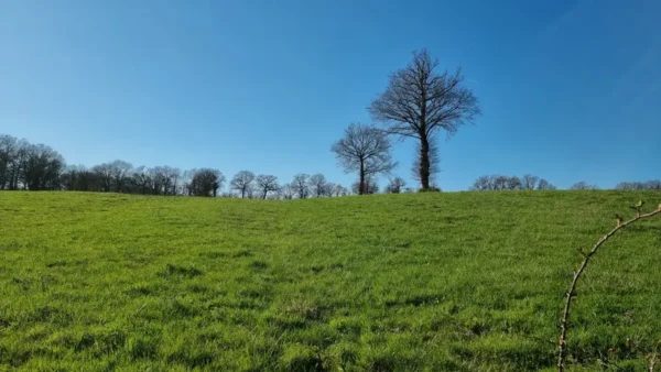 un pré dans l'Aveyron