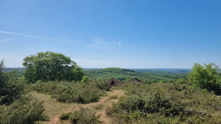 voir le chêne avec les cazelles à sa droite et la vue sur le Quercy