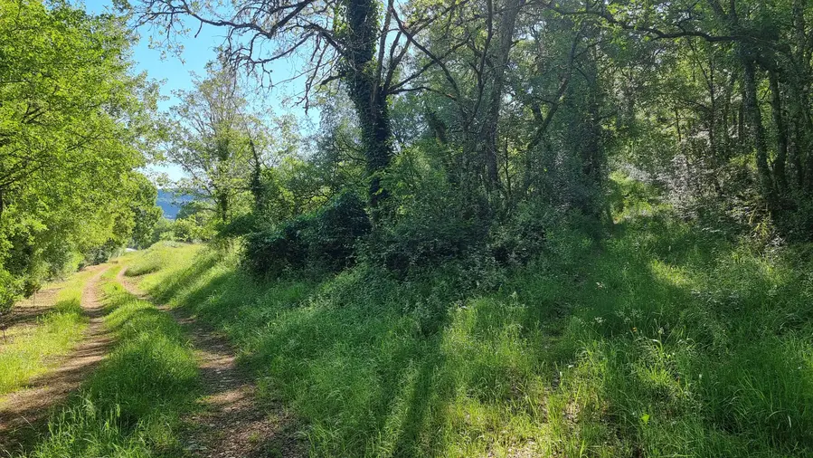 grimper le chemin derrière la maison