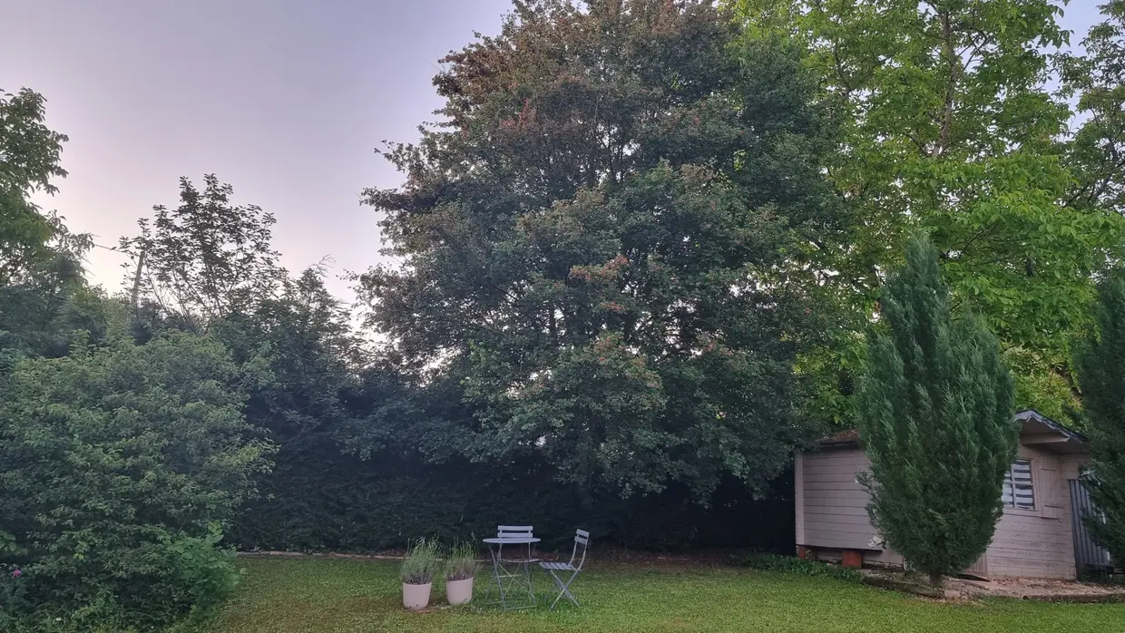 Jardin en mai 26
