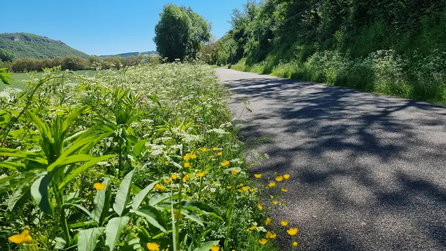 la route de la maison dans la vallée