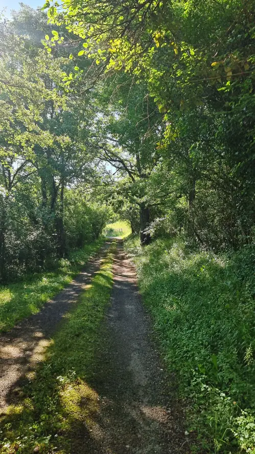 la montée du chemin