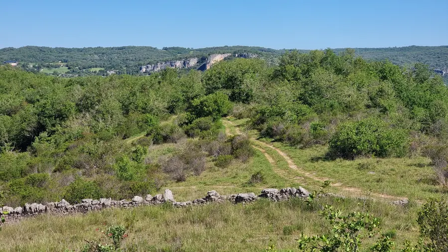 vue sur un mur de pierres sèches et les falaises du causse au loin