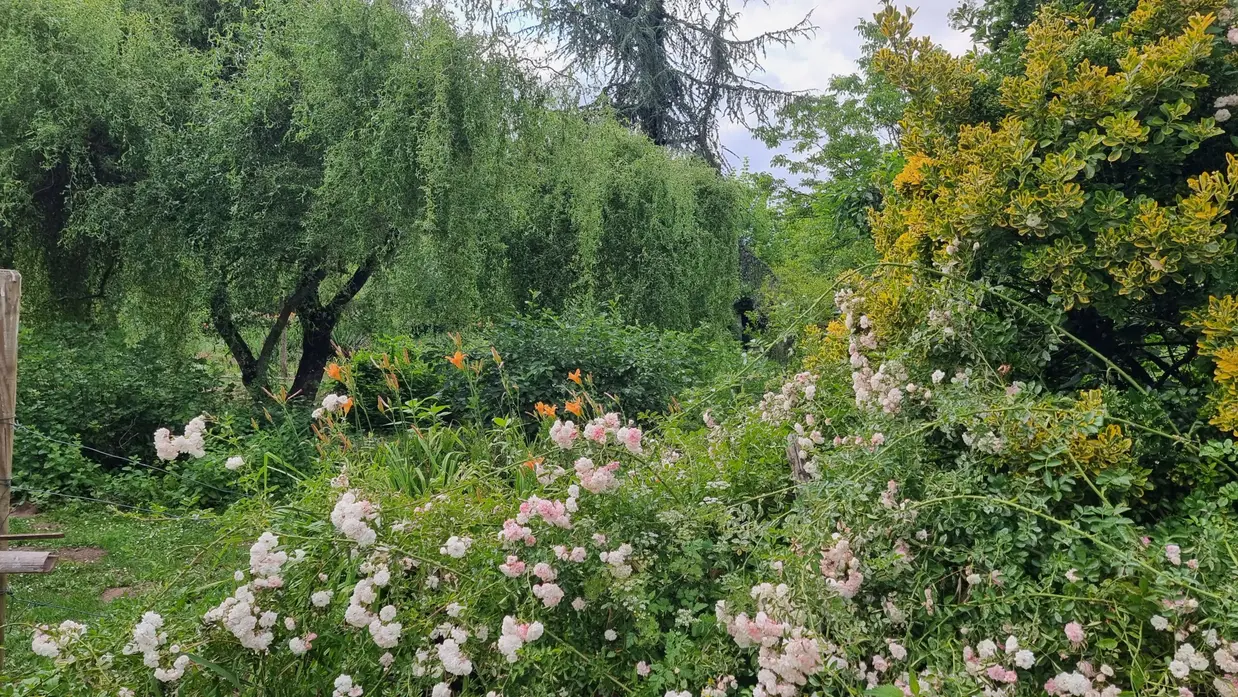 jardin au bord du Lot
