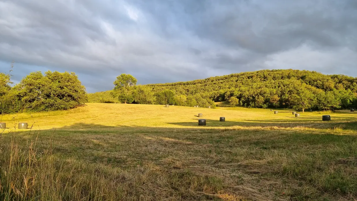 Le champ derrière la maison à la lumière du couchant