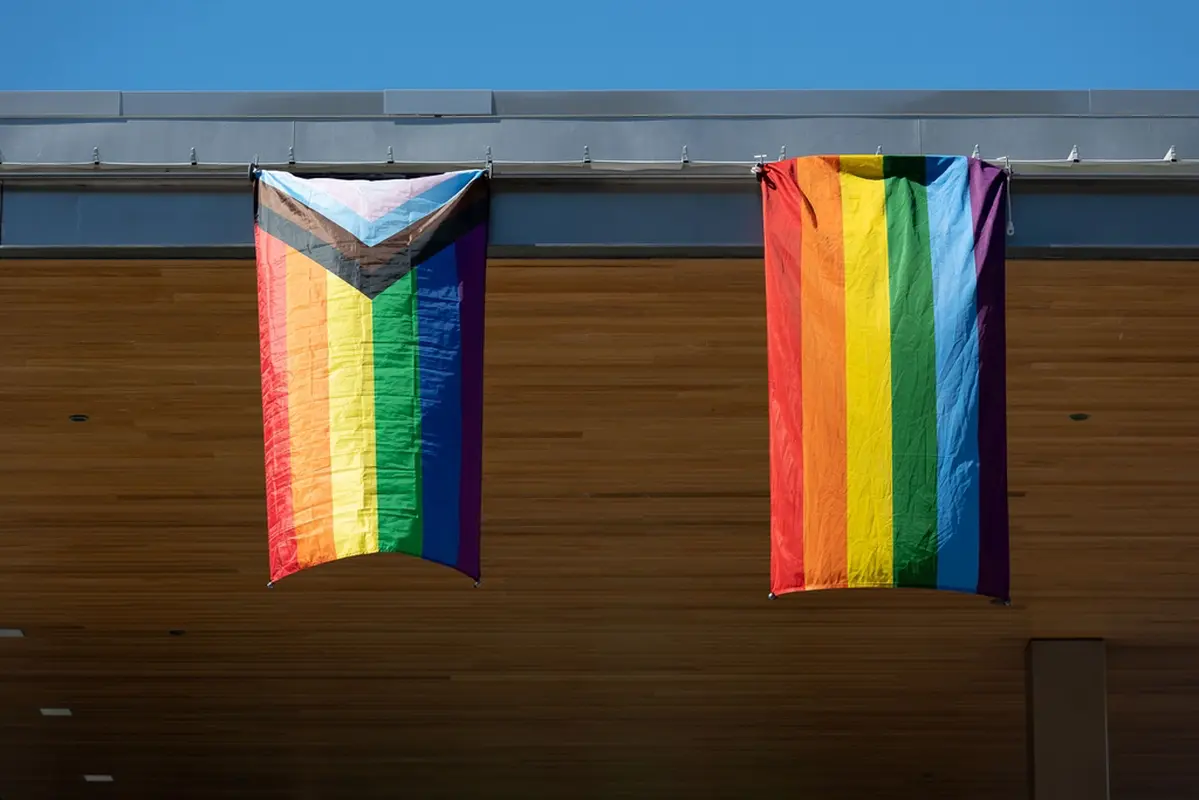 Les drapeaux gays