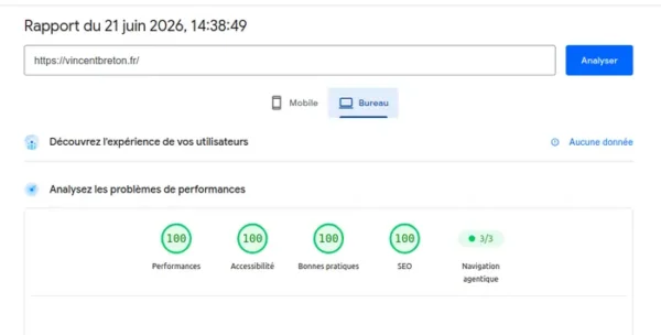 Pagespeed210623