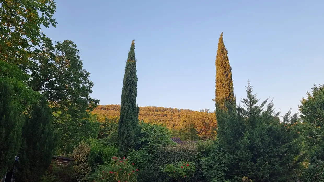 la vue du bureau