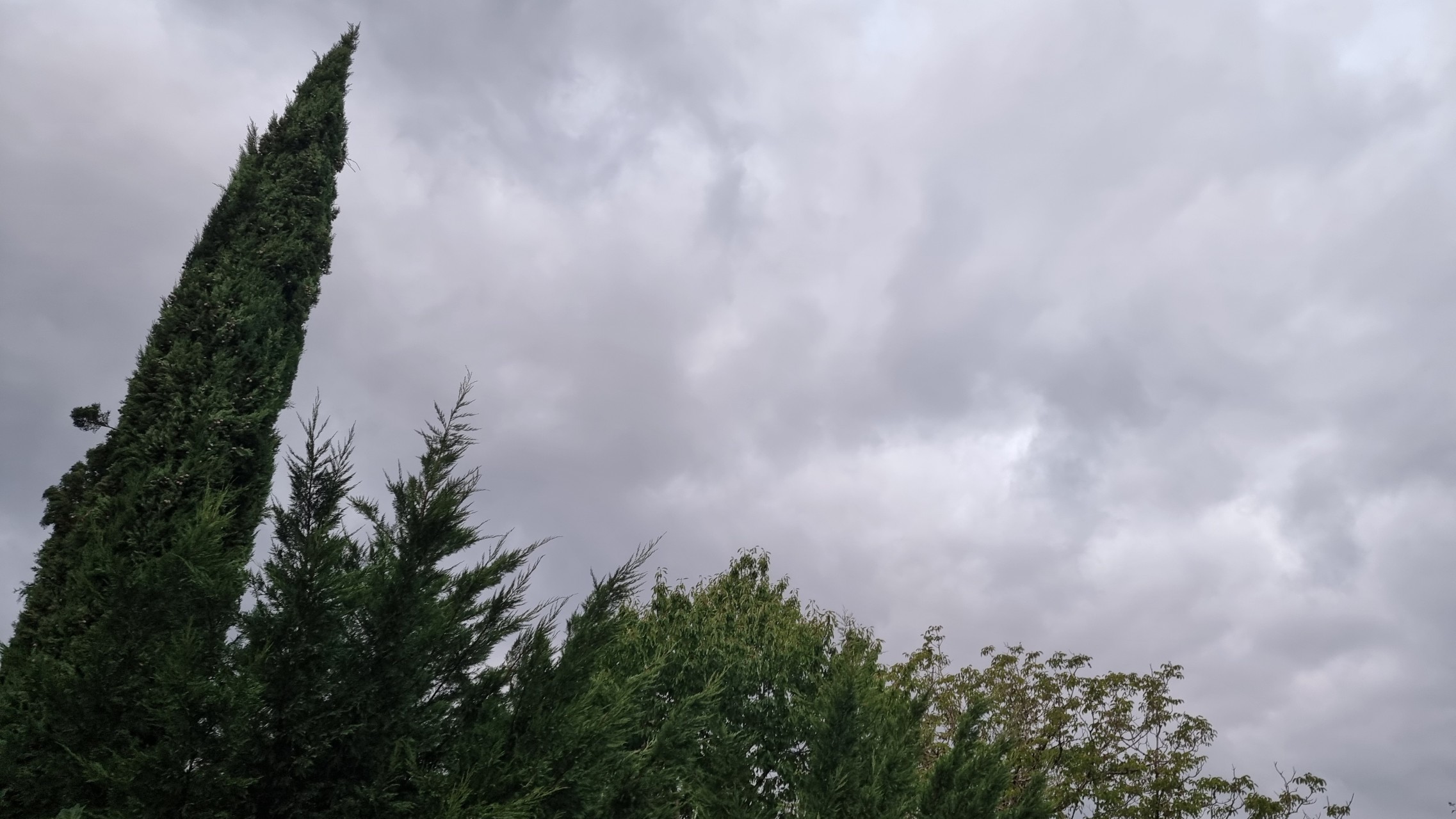 le ciel gris sans pluie sur le jardin du 26 juillet 26