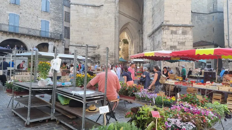 les fleurs en vente au marché de Villefranche de Rouergue