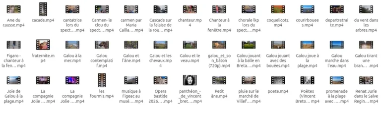 Vidéos du site présentées en vignettes