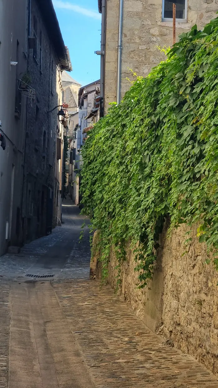 Vigne vierge sur un mur d'une maison de Villefranche de Rouergue