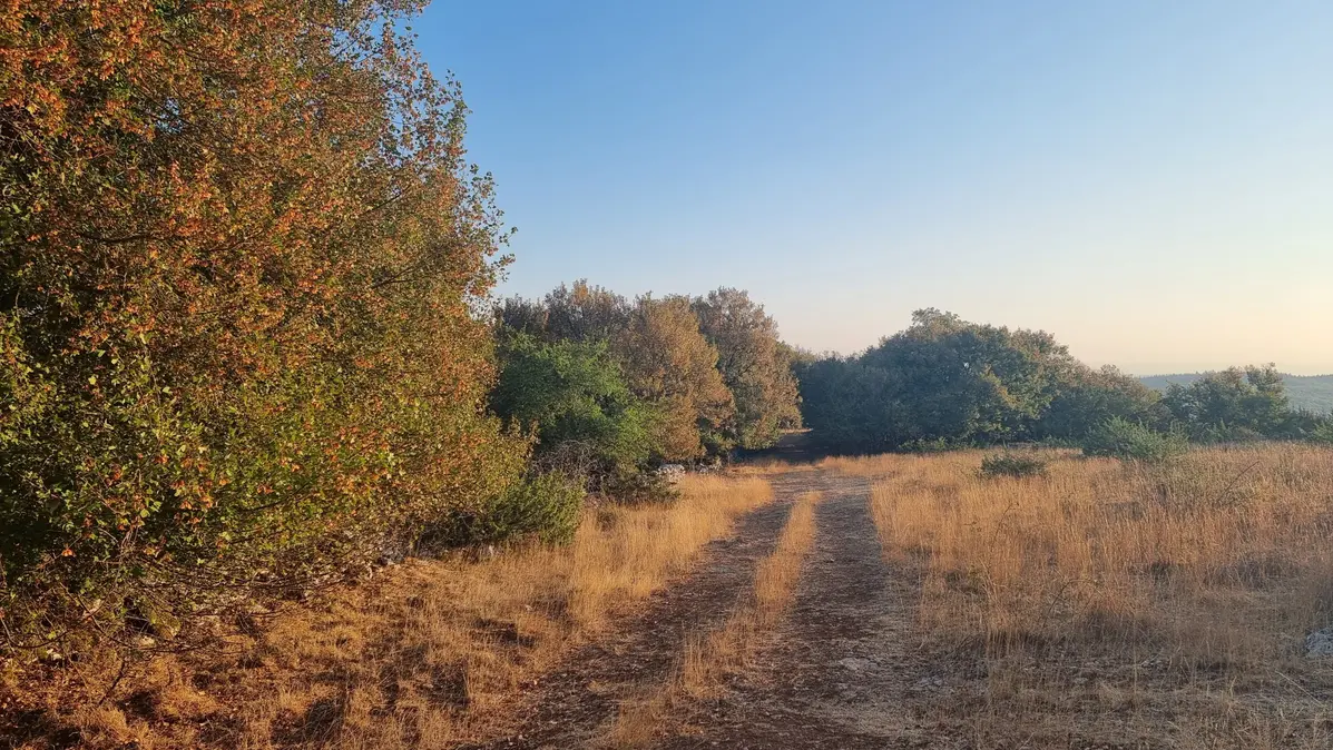 un chemin sur le causse du Quercy le 1er août 26