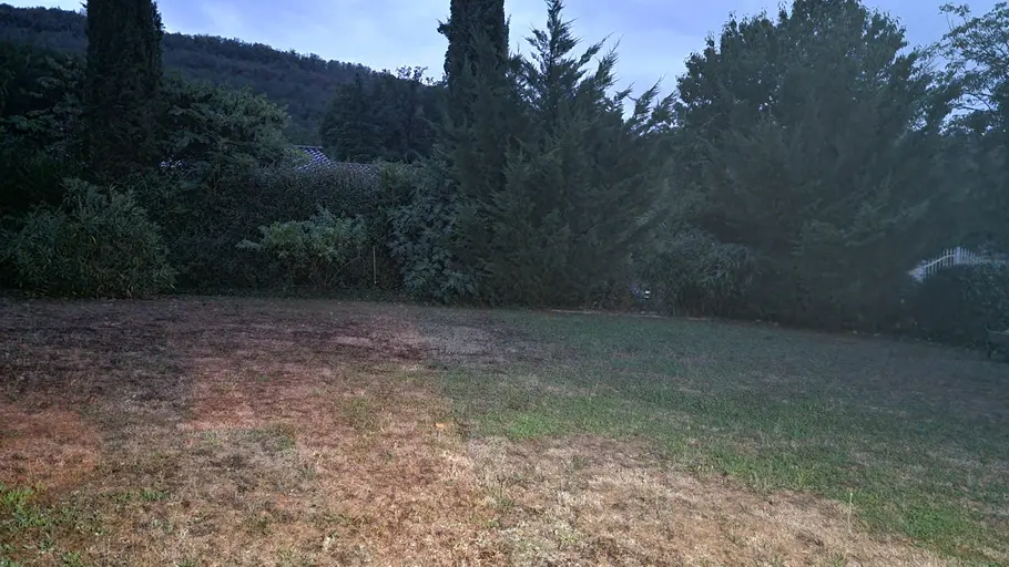 Herbe seche